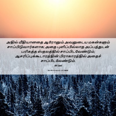 Picture 06 - லேவியராகமம் 6:16 TAMIRV - அதில் மீதியானதை - Bible Verse Picture