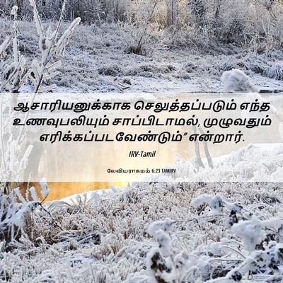 Picture 06 - லேவியராகமம் 6:23 TAMIRV - ஆசாரியனுக்காக - Bible Verse Picture