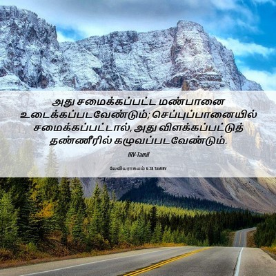 Picture 06 - லேவியராகமம் 6:28 TAMIRV - அது சமைக்கப்பட்ட - Bible Verse Picture