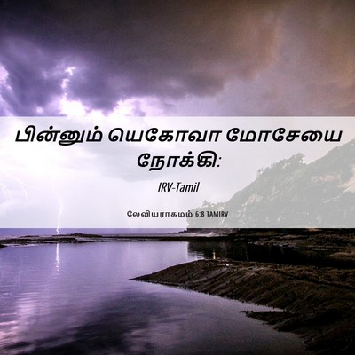 Picture 06 - லேவியராகமம் 6:8 TAMIRV - பின்னும் யெகோவா - Bible Verse Picture