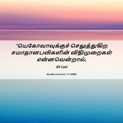 Picture 06 - லேவியராகமம் 7:11 TAMIRV - “யெகோவாவுக்குச் - Bible Verse Picture