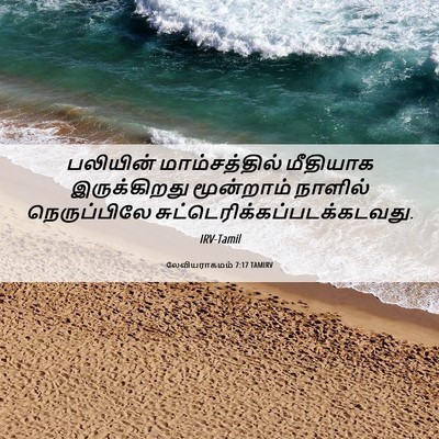 Picture 06 - லேவியராகமம் 7:17 TAMIRV - பலியின் - Bible Verse Picture