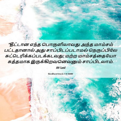 Picture 06 - லேவியராகமம் 7:19 TAMIRV - “தீட்டான எந்த - Bible Verse Picture