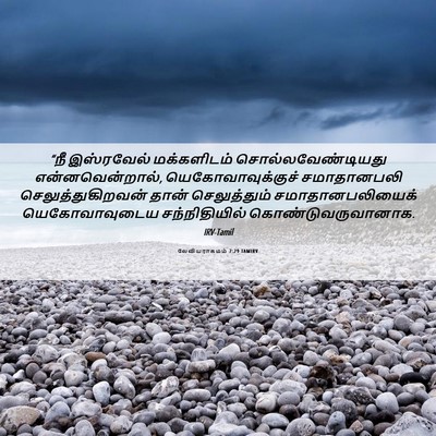 Picture 06 - லேவியராகமம் 7:29 TAMIRV - “நீ இஸ்ரவேல் - Bible Verse Picture