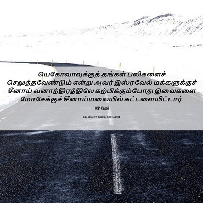 Picture 06 - லேவியராகமம் 7:38 TAMIRV - யெகோவாவுக்குத் - Bible Verse Picture