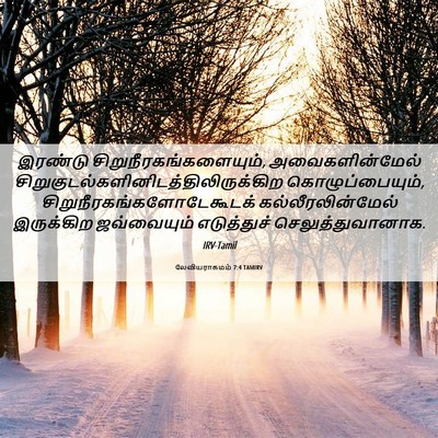 Picture 06 - லேவியராகமம் 7:4 TAMIRV - இரண்டு - Bible Verse Picture