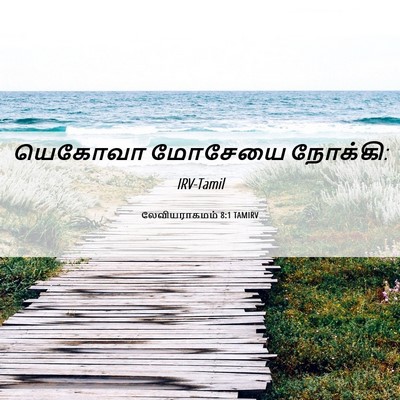 Picture 06 - லேவியராகமம் 8:1 TAMIRV - யெகோவா மோசேயை - Bible Verse Picture