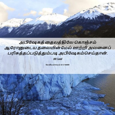 Picture 06 - லேவியராகமம் 8:12 TAMIRV - அபிஷேகத் - Bible Verse Picture