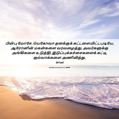 Picture 06 - லேவியராகமம் 8:13 TAMIRV - பின்பு மோசே, - Bible Verse Picture