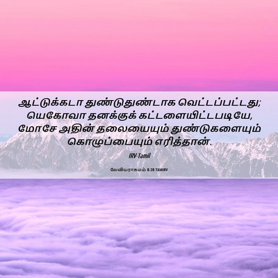 Picture 06 - லேவியராகமம் 8:20 TAMIRV - ஆட்டுக்கடா - Bible Verse Picture