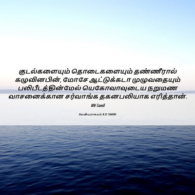 Picture 06 - லேவியராகமம் 8:21 TAMIRV - குடல்களையும் - Bible Verse Picture