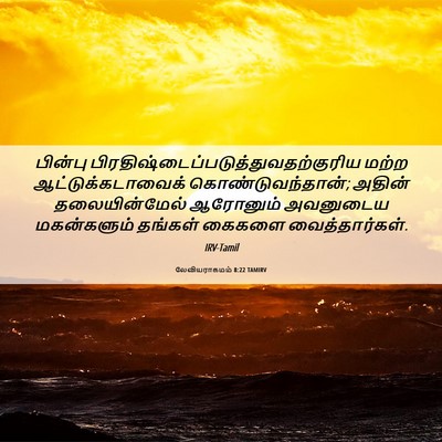 Picture 06 - லேவியராகமம் 8:22 TAMIRV - பின்பு - Bible Verse Picture