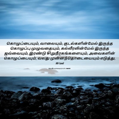 Picture 06 - லேவியராகமம் 8:25 TAMIRV - கொழுப்பையும், - Bible Verse Picture