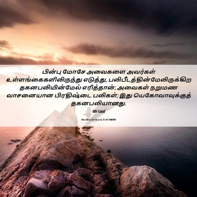 Picture 06 - லேவியராகமம் 8:28 TAMIRV - பின்பு மோசே - Bible Verse Picture