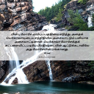 Picture 06 - லேவியராகமம் 8:29 TAMIRV - பின்பு மோசே - Bible Verse Picture