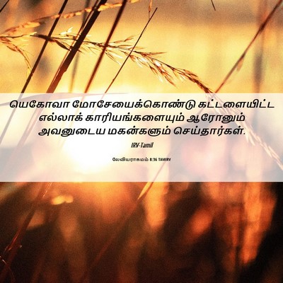 Picture 06 - லேவியராகமம் 8:36 TAMIRV - யெகோவா - Bible Verse Picture