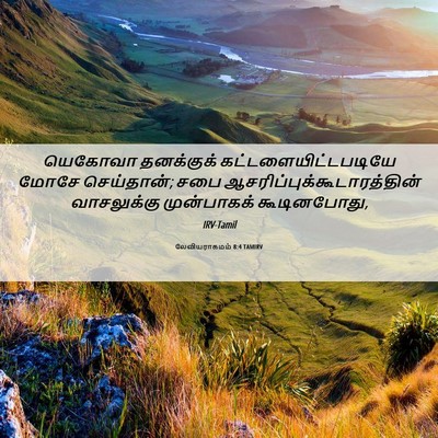 Picture 06 - லேவியராகமம் 8:4 TAMIRV - யெகோவா தனக்குக் - Bible Verse Picture