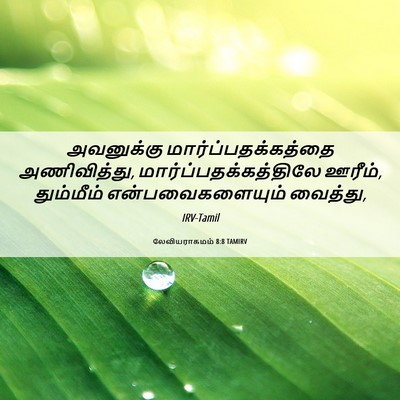 Picture 06 - லேவியராகமம் 8:8 TAMIRV - அவனுக்கு - Bible Verse Picture