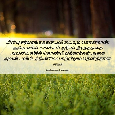 Picture 06 - லேவியராகமம் 9:12 TAMIRV - பின்பு - Bible Verse Picture
