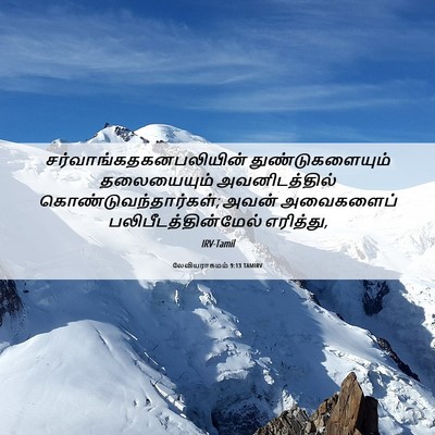 Picture 06 - லேவியராகமம் 9:13 TAMIRV -  - Bible Verse Picture