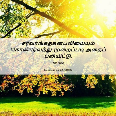 Picture 06 - லேவியராகமம் 9:16 TAMIRV -  - Bible Verse Picture