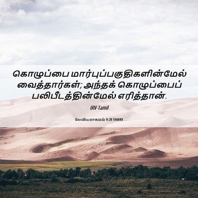 Picture 06 - லேவியராகமம் 9:20 TAMIRV - கொழுப்பை - Bible Verse Picture