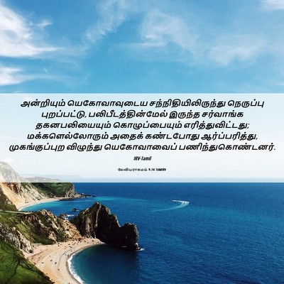 Picture 06 - லேவியராகமம் 9:24 TAMIRV - அன்றியும் - Bible Verse Picture