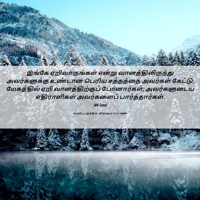 Picture 06 - வெளிப்படுத்தின விசேஷம் 11:12 TAMIRV - இங்கே - Bible Verse Picture