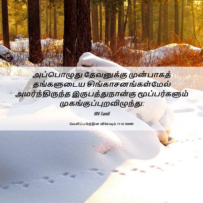 Picture 06 - வெளிப்படுத்தின விசேஷம் 11:16 TAMIRV - அப்பொழுது - Bible Verse Picture
