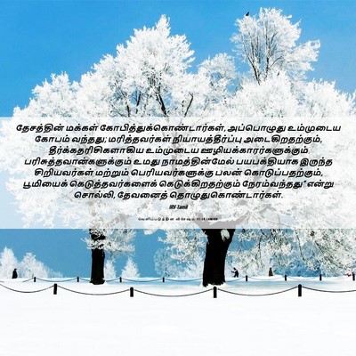 Picture 06 - வெளிப்படுத்தின விசேஷம் 11:18 TAMIRV - தேசத்தின் மக்கள் - Bible Verse Picture