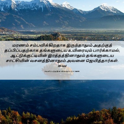 Picture 06 - வெளிப்படுத்தின விசேஷம் 12:11 TAMIRV - மரணம் - Bible Verse Picture