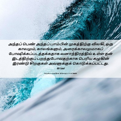 Picture 06 - வெளிப்படுத்தின விசேஷம் 12:14 TAMIRV - அந்தப் பெண் - Bible Verse Picture