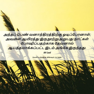 Picture 06 - வெளிப்படுத்தின விசேஷம் 12:6 TAMIRV - அந்தப் பெண் - Bible Verse Picture