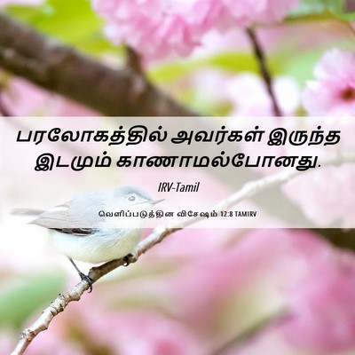 Picture 06 - வெளிப்படுத்தின விசேஷம் 12:8 TAMIRV - பரலோகத்தில் - Bible Verse Picture