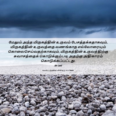 Picture 06 - வெளிப்படுத்தின விசேஷம் 13:15 TAMIRV - மேலும் அந்த - Bible Verse Picture