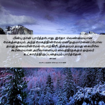 Picture 06 - வெளிப்படுத்தின விசேஷம் 14:14 TAMIRV - பின்பு நான் - Bible Verse Picture