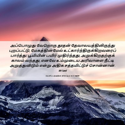 Picture 06 - வெளிப்படுத்தின விசேஷம் 14:15 TAMIRV - அப்பொழுது வேறொரு - Bible Verse Picture