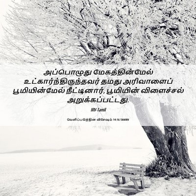 Picture 06 - வெளிப்படுத்தின விசேஷம் 14:16 TAMIRV - அப்பொழுது - Bible Verse Picture