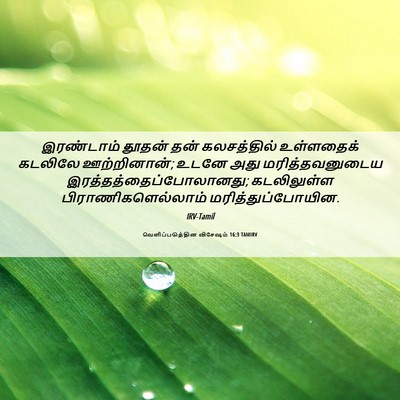 Picture 06 - வெளிப்படுத்தின விசேஷம் 16:3 TAMIRV - இரண்டாம் தூதன் - Bible Verse Picture