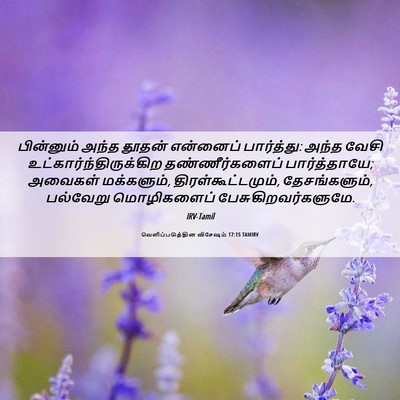 Picture 06 - வெளிப்படுத்தின விசேஷம் 17:15 TAMIRV - பின்னும் அந்த - Bible Verse Picture
