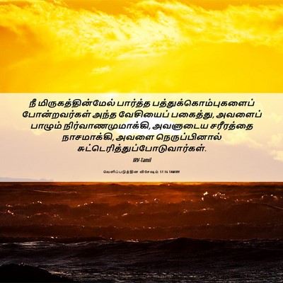 Picture 06 - வெளிப்படுத்தின விசேஷம் 17:16 TAMIRV - நீ - Bible Verse Picture