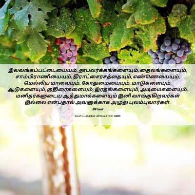Picture 06 - வெளிப்படுத்தின விசேஷம் 18:13 TAMIRV -  - Bible Verse Picture
