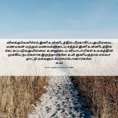 Picture 06 - வெளிப்படுத்தின விசேஷம் 18:23 TAMIRV - விளக்குவெளிச்சம் - Bible Verse Picture