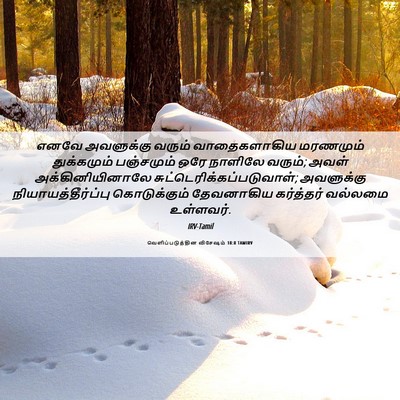 Picture 06 - வெளிப்படுத்தின விசேஷம் 18:8 TAMIRV - எனவே அவளுக்கு - Bible Verse Picture