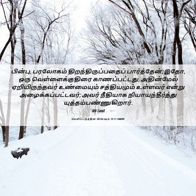 Picture 06 - வெளிப்படுத்தின விசேஷம் 19:11 TAMIRV - பின்பு, பரலோகம் - Bible Verse Picture