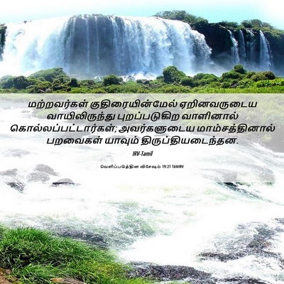 Picture 06 - வெளிப்படுத்தின விசேஷம் 19:21 TAMIRV - மற்றவர்கள் - Bible Verse Picture