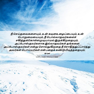 Picture 06 - வெளிப்படுத்தின விசேஷம் 2:2 TAMIRV - நீ - Bible Verse Picture
