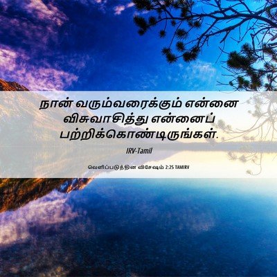 Picture 06 - வெளிப்படுத்தின விசேஷம் 2:25 TAMIRV - நான் - Bible Verse Picture