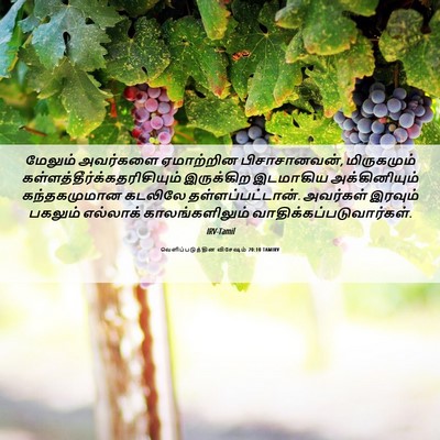 Picture 06 - வெளிப்படுத்தின விசேஷம் 20:10 TAMIRV - மேலும் அவர்களை - Bible Verse Picture