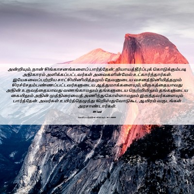 Picture 06 - வெளிப்படுத்தின விசேஷம் 20:4 TAMIRV - அன்றியும், நான் - Bible Verse Picture